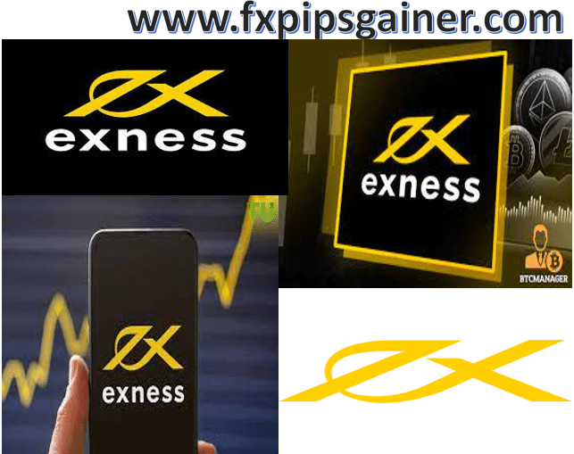 Understanding the Exness MT4 Server IP Key Insights for Traders Understanding the Exness MT4 Server IP Key Insights for Traders